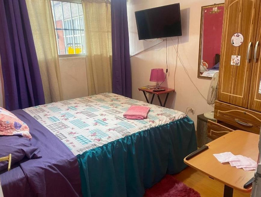 Don Quijote Family Homestay Сантьяго Экстерьер фото